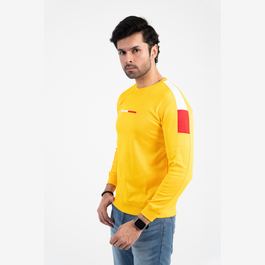 Men's sweat shirt micro fleece Round Neck RBB1037